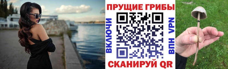 Галлюциногенные грибы мухоморы  Юрьевец 